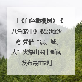 《白色橄榄树》《八角笼中》取景地沙湾 凭借“景、城、人”火爆出圈丨新闻发布最前线