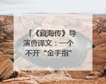 《藏海传》导演曹译文：一个不开“金手指”的主角，成为苍生守护者