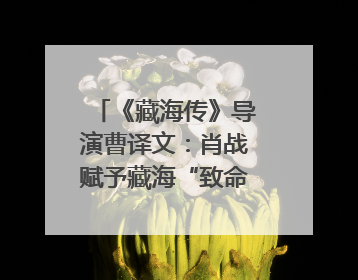 《藏海传》导演曹译文：肖战赋予藏海“致命”吸引力