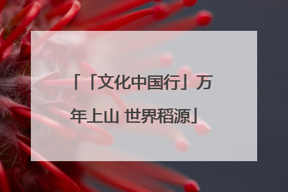 「文化中国行」万年上山 世界稻源