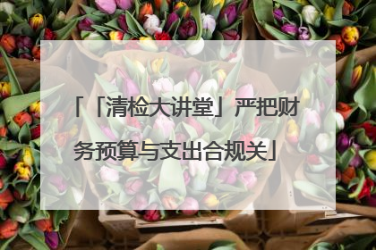 「清检大讲堂」严把财务预算与支出合规关