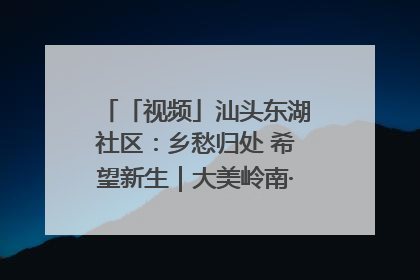 「视频」汕头东湖社区：乡愁归处 希望新生｜大美岭南·百村焕新记