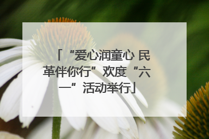 “爱心润童心 民革伴你行”欢度“六一”活动举行