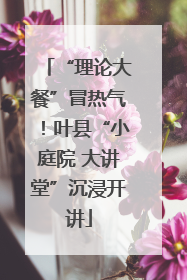“理论大餐”冒热气！叶县“小庭院 大讲堂”沉浸开讲