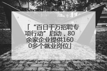 “百日千万招聘专项行动”启动，80余家企业提供1600多个就业岗位