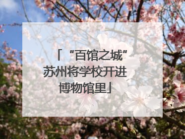 “百馆之城”苏州将学校开进博物馆里