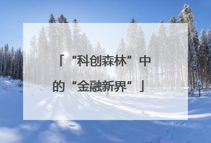 “科创森林”中的“金融新界”