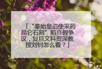 “秦始皇遣使采药昆仑石刻”陷真假争议，复旦文科资深教授刘钊怎么看？