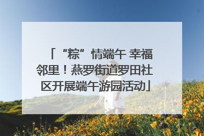 “粽”情端午 幸福邻里！燕罗街道罗田社区开展端午游园活动