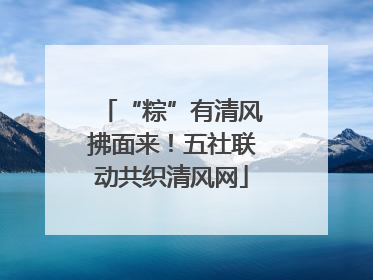 “粽”有清风拂面来！五社联动共织清风网