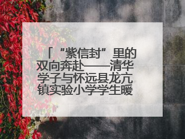 “紫信封”里的双向奔赴——清华学子与怀远县龙亢镇实验小学学生暖心书信之约