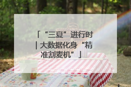 “三夏”进行时｜大数据化身“精准割麦机”