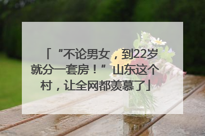 “不论男女，到22岁就分一套房！”山东这个村，让全网都羡慕了