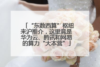 “东数西算”枢纽来沪推介，这里竟是华为云、腾讯和网易的算力“大本营”