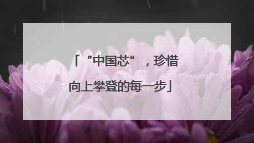 “中国芯”，珍惜向上攀登的每一步
