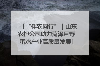 “伴农同行”｜山东农担公司助力菏泽巨野蛋鸡产业高质量发展