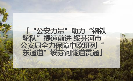 “公安力量”助力“钢铁驼队”提速前进 绥芬河市公安局全力保障中欧班列“东通道”绥芬河隧道贯通