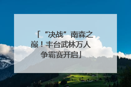 “决战”南森之巅！丰台武林万人争霸赛开启