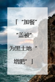 “加餐”“盖被” 为黑土地“增肥”