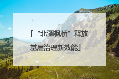 “北疆枫桥”释放基层治理新效能