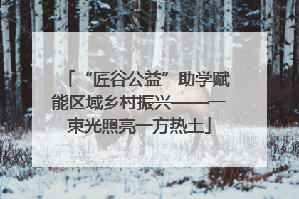 “匠谷公益”助学赋能区域乡村振兴——一束光照亮一方热土