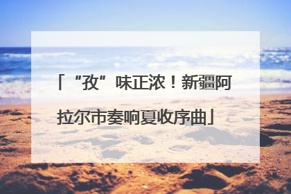“孜”味正浓！新疆阿拉尔市奏响夏收序曲
