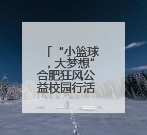 “小篮球，大梦想”合肥狂风公益校园行活动在合肥市第四十二中学南城分校圆满落幕