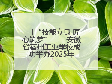 “技能立身 匠心筑梦”——安徽省宿州工业学校成功举办2025年职业技能活动周各项活动