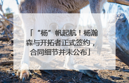 “杨”帆起航！杨瀚森与开拓者正式签约，合同细节并未公布