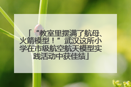 “教室里摆满了航母、火箭模型！”武汉这所小学在市级航空航天模型实践活动中获佳绩