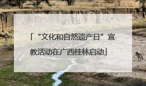 “文化和自然遗产日”宣教活动在广西桂林启动