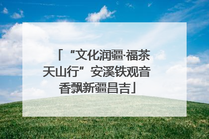 “文化润疆·福茶天山行”安溪铁观音香飘新疆昌吉
