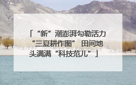 “新”潮澎湃勾勒活力“三夏耕作图” 田间地头满满“科技范儿”