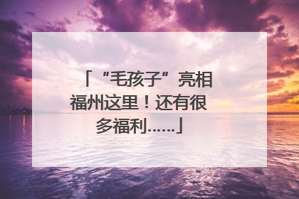 “毛孩子”亮相福州这里！还有很多福利……