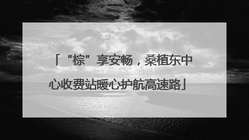“棕”享安畅，桑植东中心收费站暖心护航高速路