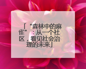“森林中的麻雀”：从一个社区，看见社会治理的未来