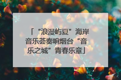 “浪漫屿夏”海岸音乐荟奏响烟台“音乐之城”青春乐章