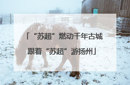 “苏超”燃动千年古城 跟着“苏超”游扬州