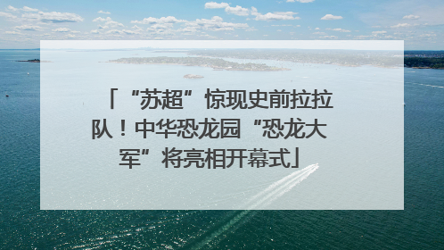 “苏超”惊现史前拉拉队！中华恐龙园“恐龙大军”将亮相开幕式