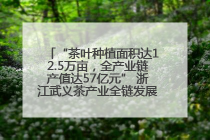 “茶叶种植面积达12.5万亩，全产业链产值达57亿元” 浙江武义茶产业全链发展“加速度”