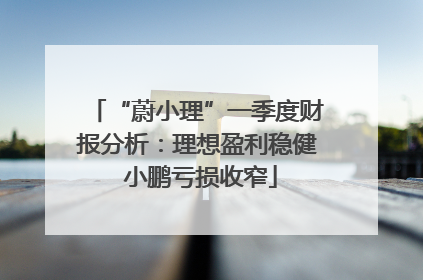 “蔚小理”一季度财报分析：理想盈利稳健 小鹏亏损收窄