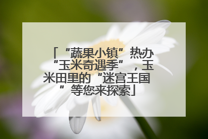 “蔬果小镇”热办“玉米奇遇季”，玉米田里的“迷宫王国”等您来探索