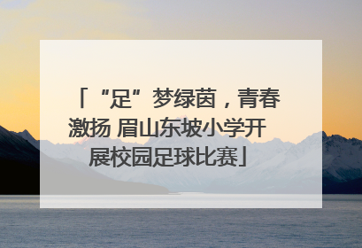 “足”梦绿茵，青春激扬 眉山东坡小学开展校园足球比赛