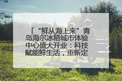 “鲜从海上来”青岛海尔冰箱城市体验中心盛大开业：科技赋能鲜生活，重新定义全球饮食未来