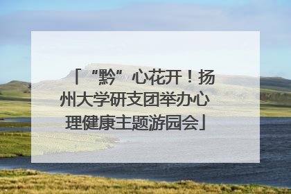 “黔”心花开！扬州大学研支团举办心理健康主题游园会