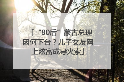 “80后”蒙古总理因何下台？儿子女友网上炫富成导火索