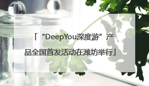 “DeepYou深度游”产品全国首发活动在潍坊举行
