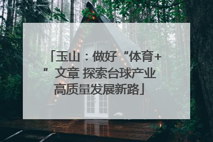 玉山：做好“体育+”文章 探索台球产业高质量发展新路