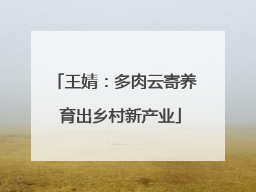 王婧：多肉云寄养 育出乡村新产业