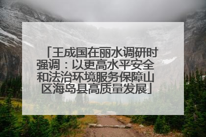 王成国在丽水调研时强调：以更高水平安全和法治环境服务保障山区海岛县高质量发展